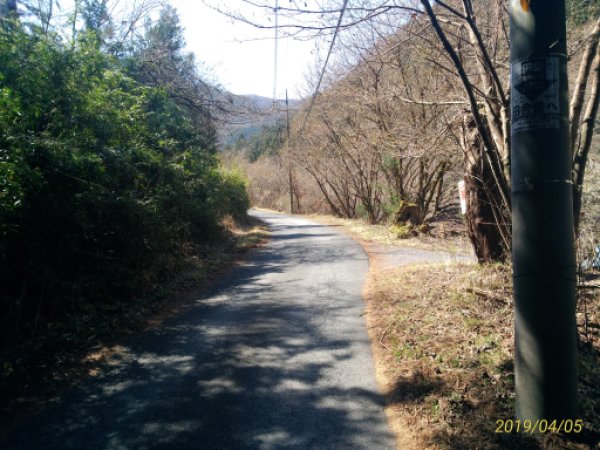林道の始まり